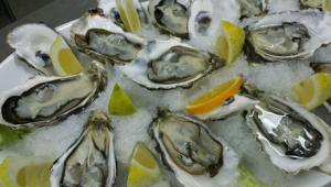 FeatureImage-oysters-on-ice