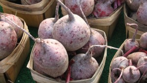 FeatureImage-beets-for-sale-by-AlistairWilliamson