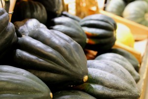 acorn-squash-938936_1920